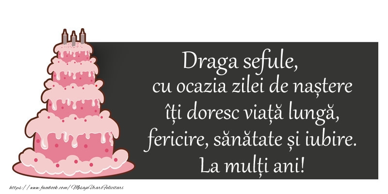 Felicitari de zi de nastere pentru Sef - Draga sefule, cu ocazia zilei de nastere iti doresc viata lunga,  fericire, sanatate si iubire.  La multi ani!
