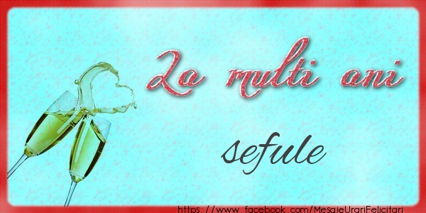 Felicitari de zi de nastere pentru Sef - La multi ani sefule