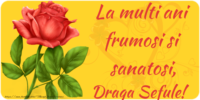 Felicitari de zi de nastere pentru Sef - La multi ani fericiti si sanatosi, draga sefule