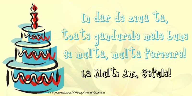 Felicitari de zi de nastere pentru Sef - In dar de ziua ta,  toate gandurile mele bune  si multa, multa fericire! La mullti ani, sefule
