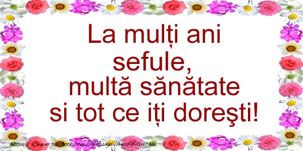 Felicitari de zi de nastere pentru Sef - La multi ani sefule, multa sanatate si tot ce iti doresti!