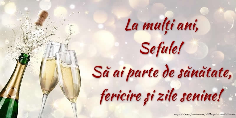 Felicitari de zi de nastere pentru Sef - La mulți ani, sefule! Să ai parte de sănătate, fericire și zile senine!