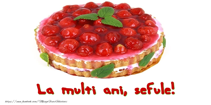 Felicitari de zi de nastere pentru Sef - La multi ani, sefule!