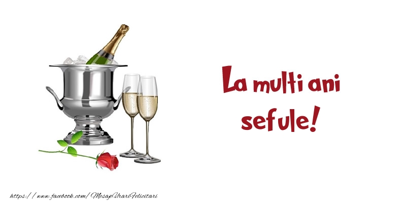 Felicitari de zi de nastere pentru Sef - La multi ani sefule!