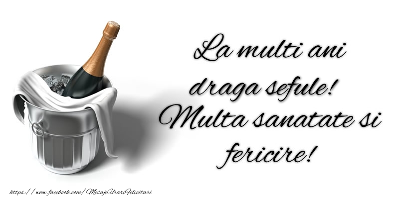 Felicitari de zi de nastere pentru Sef - La multi ani draga sefule! Multa sanatate si fericire!