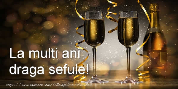 Felicitari de zi de nastere pentru Sef - La multi ani draga sefule!