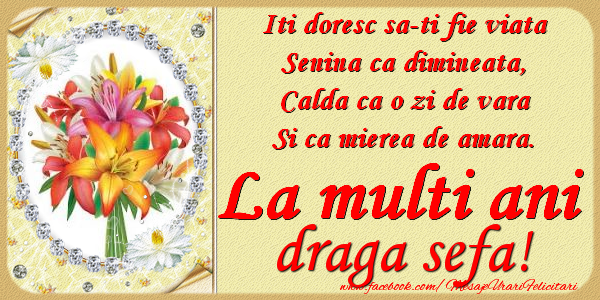 Felicitari de zi de nastere pentru Sefa - Iti doresc sa-ti fie viata, senina ca dimineata, calda ca o zi de vara, si ca mierea de amara. La multi ani draga sefa
