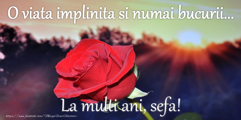 Felicitari de zi de nastere pentru Sefa - O viata implinita si numai bucurii... La multi ani sefa!