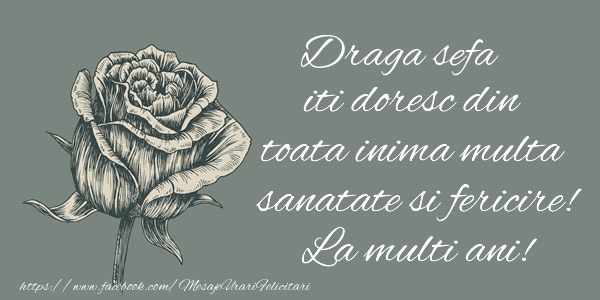 Felicitari de zi de nastere pentru Sefa - Draga sefa iti doresc din toata inima multa sanatate si fericire! La multi ani!