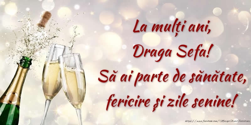 Felicitari de zi de nastere pentru Sefa - La mulți ani, draga sefa! Să ai parte de sănătate, fericire și zile senine!