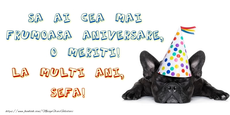 Felicitari de zi de nastere pentru Sefa - Sa ai cea mai frumoasa aniversare, o meriti! La multi ani, sefa!