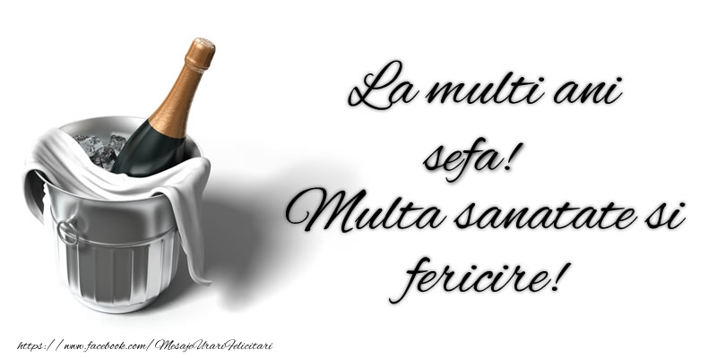 Felicitari de zi de nastere pentru Sefa - La multi ani sefa! Multa sanatate si fericire!