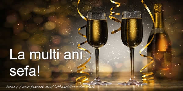 Felicitari de zi de nastere pentru Sefa - La multi ani sefa!