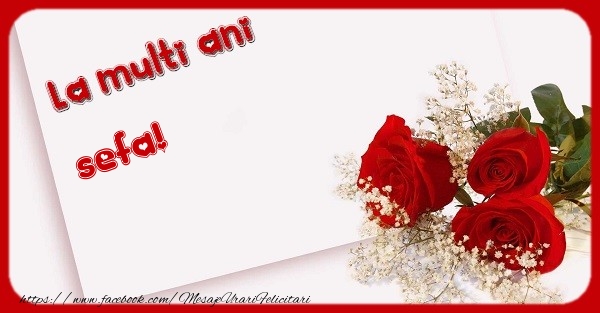 Felicitari de zi de nastere pentru Sefa - La multi ani sefa