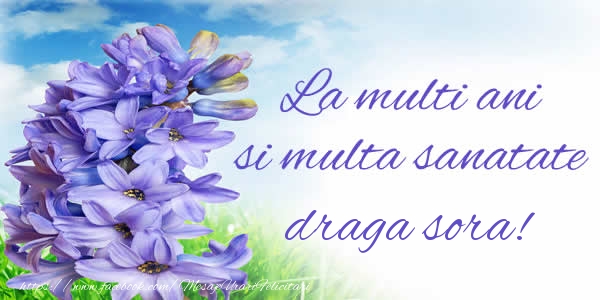 Felicitari de zi de nastere pentru Sora - La multi ani si multa sanatate surioara!