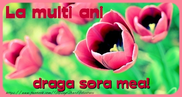 Felicitari de zi de nastere pentru Sora - La multi ani draga sora
