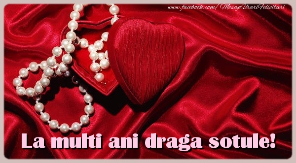 Felicitari de zi de nastere pentru Sot - La multi ani draga sotule