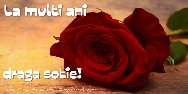 Felicitari de zi de nastere pentru Sotie - La multi ani draga sotie!