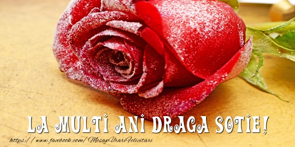 Felicitari de zi de nastere pentru Sotie - La multi ani draga sotie!