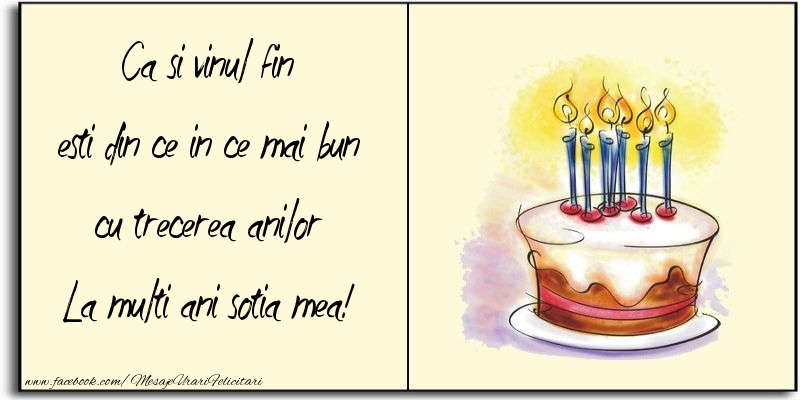 Felicitari de zi de nastere pentru Sotie - Ca si vinul fin esti din ce in ce mai bun cu trecerea anilor sotia mea