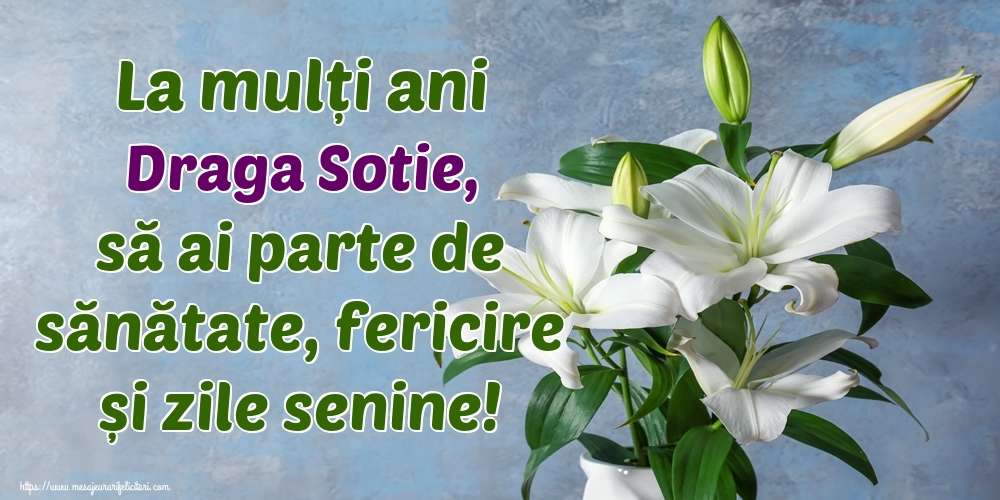 Felicitari de zi de nastere pentru Sotie - La mulți ani draga sotie, să ai parte de sănătate, fericire și zile senine!