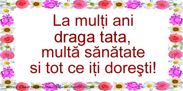 Felicitari de zi de nastere pentru Tata - La multi ani draga tata, multa sanatate si tot ce iti doresti!