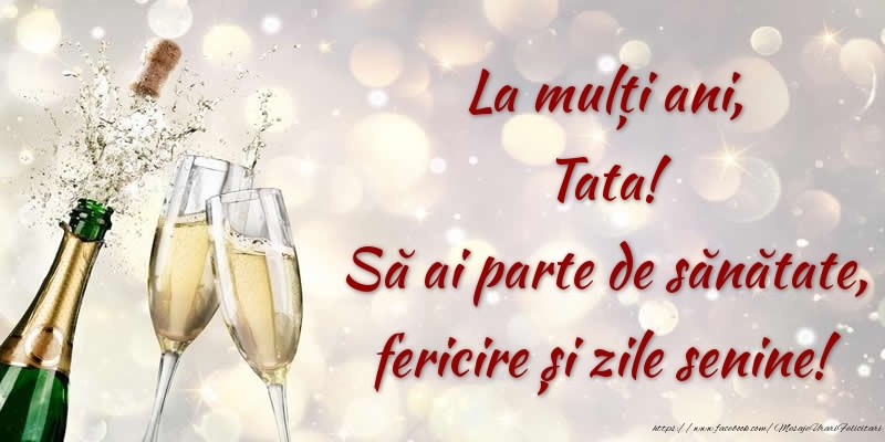 Felicitari de zi de nastere pentru Tata - La mulți ani, tata! Să ai parte de sănătate, fericire și zile senine!