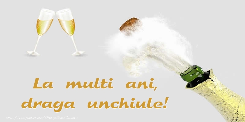 Felicitari de zi de nastere pentru Unchi - La multi ani, draga unchiule!