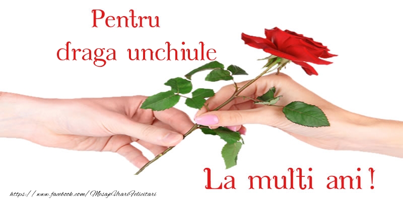 Felicitari de zi de nastere pentru Unchi - Pentru unchiule La multi ani!