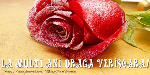Felicitari de zi de nastere pentru Verisoara - La multi ani draga verisoara!