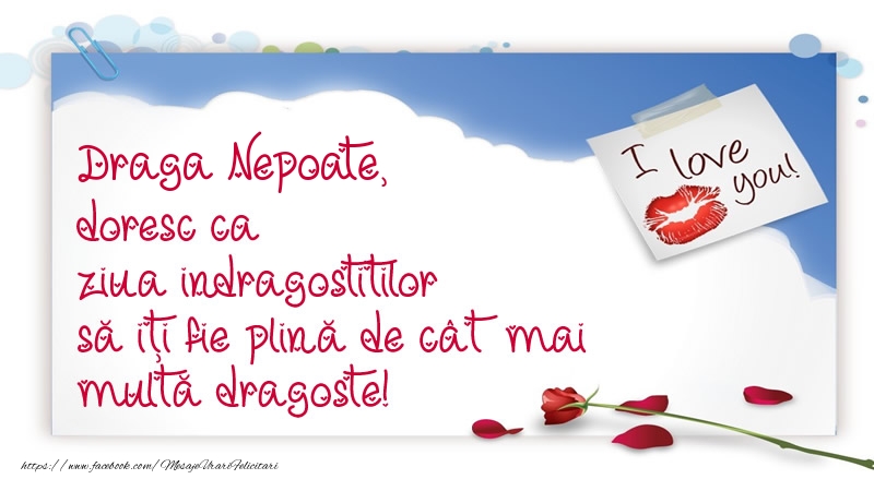 Felicitari Ziua indragostitilor pentru Nepot - Draga nepoate, doresc ca ziua indragostitilor să iți fie plină de cât mai multă dragoste!