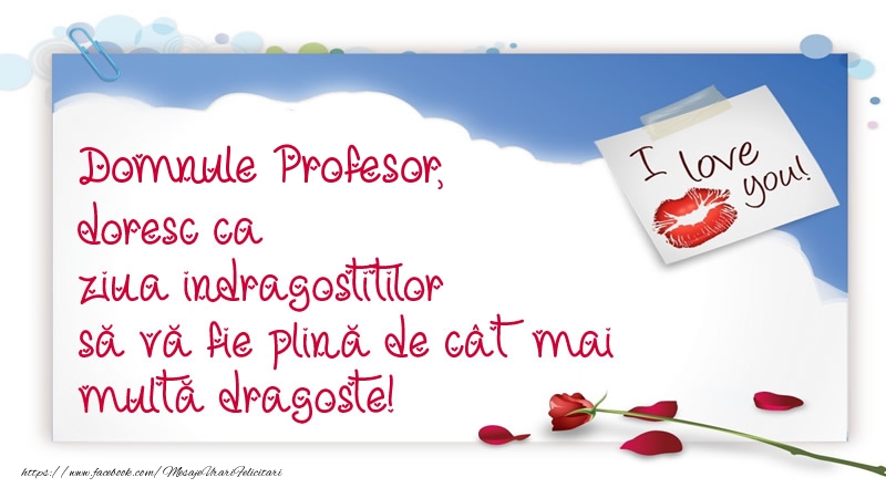 Felicitari Ziua indragostitilor pentru Profesor - Domnule profesor, doresc ca ziua indragostitilor să vă fie plină de cât mai multă dragoste!