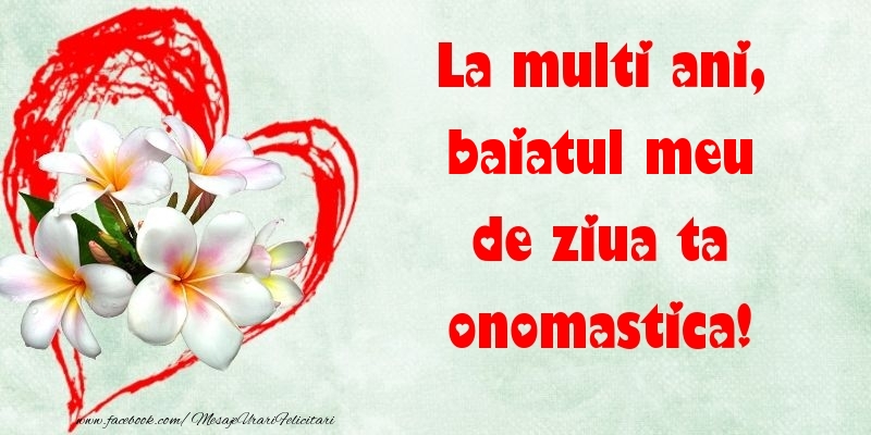 Felicitari de Ziua Numelui pentru Baiat - La multi ani, de ziua ta onomastica! baiatul meu