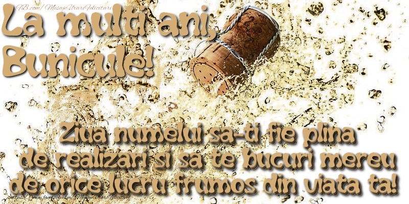 Felicitari de Ziua Numelui pentru Bunic - La multi ani, bunicule! Ziua numelui sa-ti fie plina de realizari si sa te bucuri mereu de orice lucru frumos din viata ta!