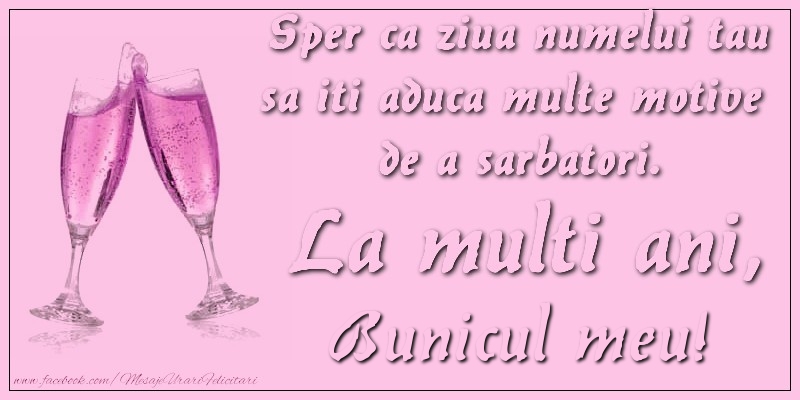 Felicitari de Ziua Numelui pentru Bunic - Sper ca ziua numelui tau sa iti aduca multe motive  de a sarbatori. La multi ani, bunicul meu!