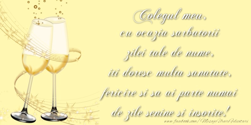Felicitari de Ziua Numelui pentru Coleg - Colegul meu cu ocazia sarbatorii zilei tale de nume, iti doresc multa sanatate, fericire si sa ai parte numai de zile senine si insorite!