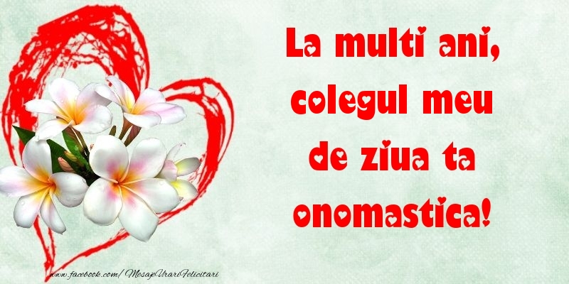 Felicitari de Ziua Numelui pentru Coleg - La multi ani, de ziua ta onomastica! colegul meu