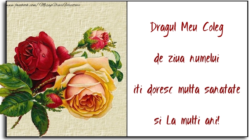 Felicitari de Ziua Numelui pentru Coleg - de ziua numelui iti doresc multa sanatate si La multi ani! dragul meu coleg