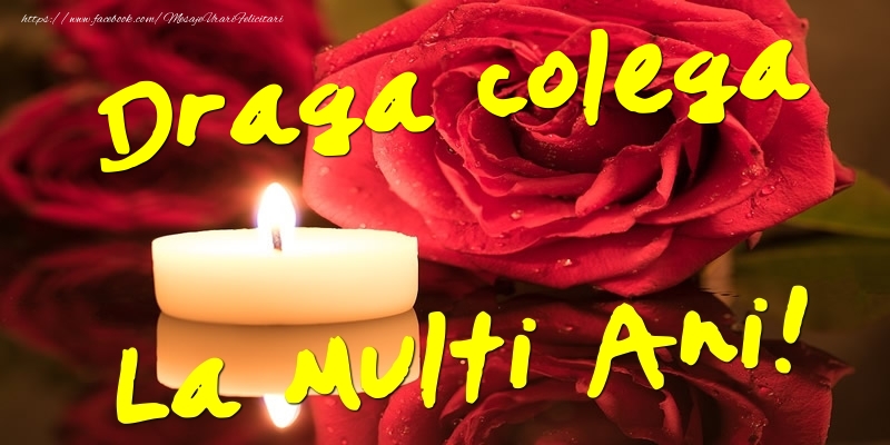 Felicitari de Ziua Numelui pentru Colega - Draga colega La Multi Ani!
