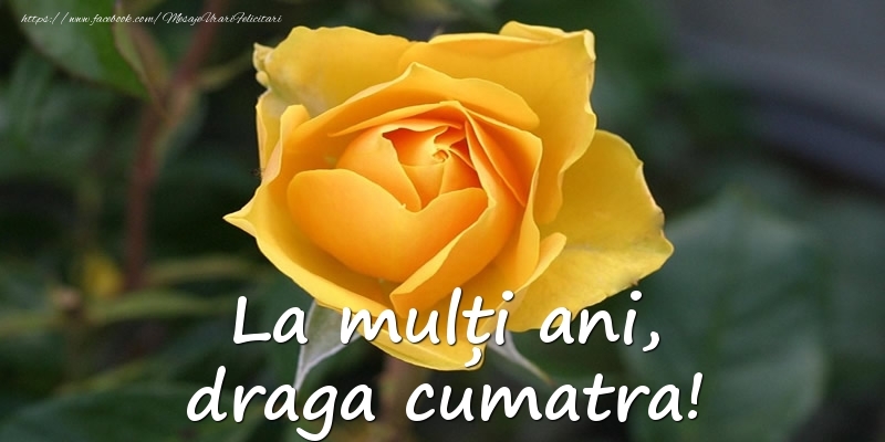 Felicitari de Ziua Numelui pentru Cumatra - La mulți ani, draga cumatra!