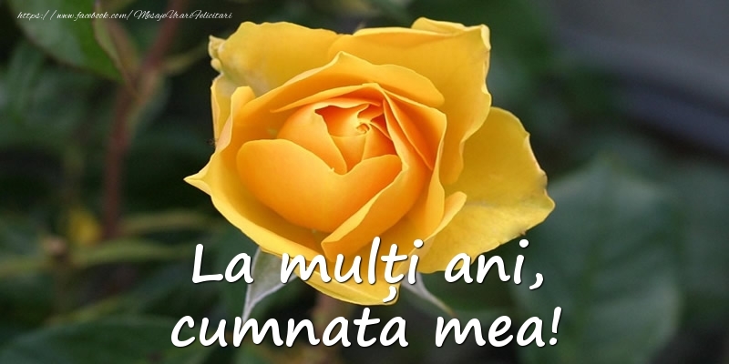 Felicitari de Ziua Numelui pentru Cumnata - La mulți ani, cumnata mea!