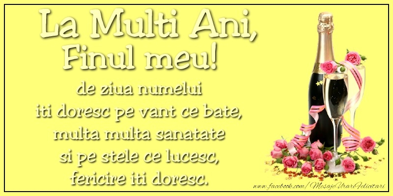 Felicitari de Ziua Numelui pentru Fin - La multi ani, finul meu! de ziua numelui iti doresc pe vant ce bate, multa multa sanatate si pe stele ce lucesc, fericire iti doresc.