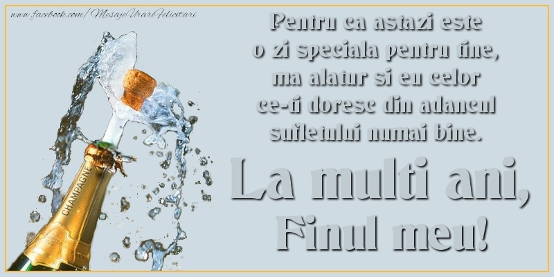 Felicitari de Ziua Numelui pentru Fin - Pentru ca astazi este o zi speciala pentru tine, ma alatur si eu celor ce-ti doresc din adancul sufletului numai bine. La multi an, finul meu