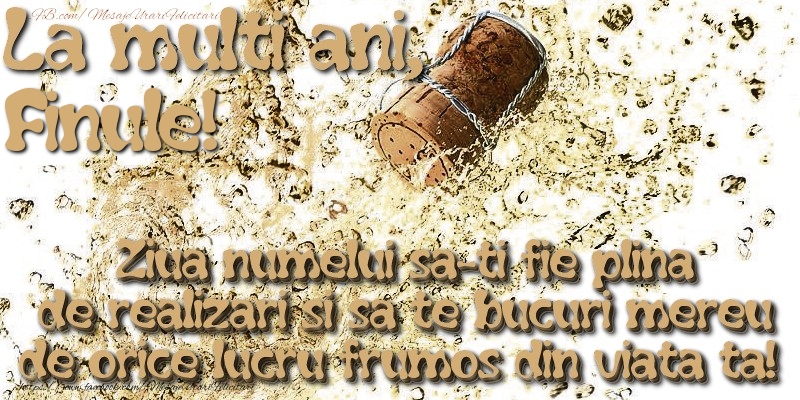 Felicitari de Ziua Numelui pentru Fin - La multi ani, finule! Ziua numelui sa-ti fie plina de realizari si sa te bucuri mereu de orice lucru frumos din viata ta!