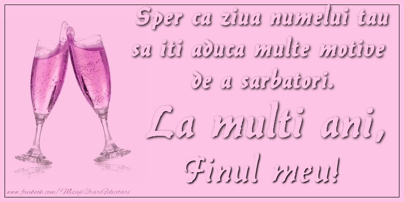 Felicitari de Ziua Numelui pentru Fin - Sper ca ziua numelui tau sa iti aduca multe motive  de a sarbatori. La multi ani, finul meu!