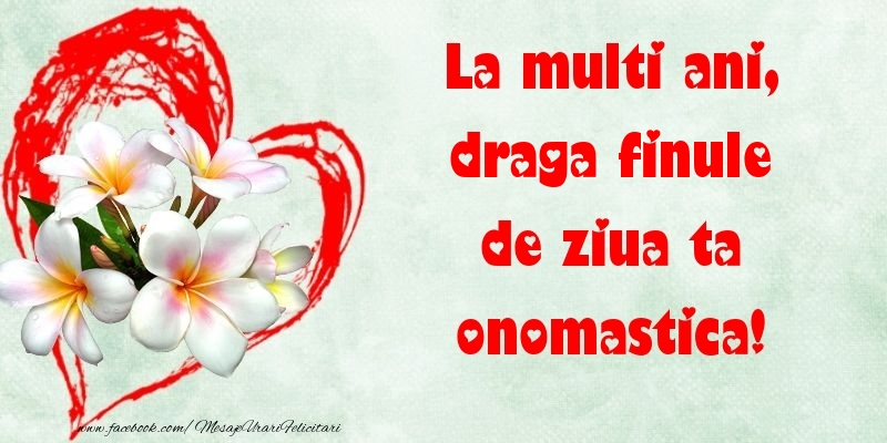 Felicitari de Ziua Numelui pentru Fin - La multi ani, de ziua ta onomastica! draga finule