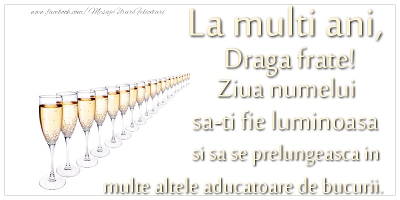 Felicitari de Ziua Numelui pentru Frate - La multi ani, draga frate Ziua numelui sa-ti fie luminoasa si sa se prelungeasca in  multe altele aducatoare de bucurii.