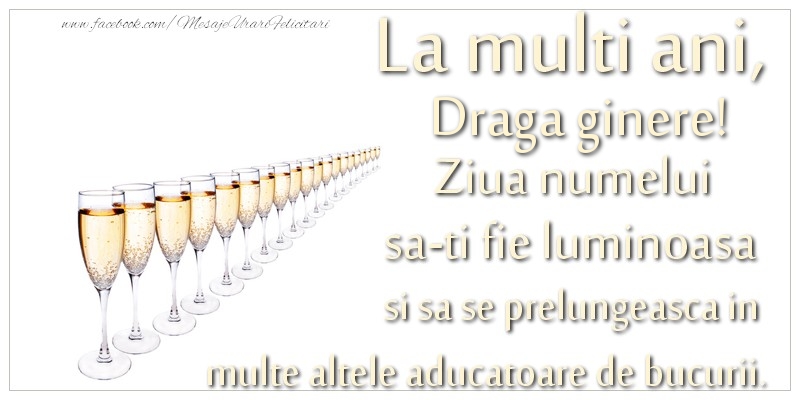 Felicitari de Ziua Numelui pentru Ginere - La multi ani, draga ginere Ziua numelui sa-ti fie luminoasa si sa se prelungeasca in  multe altele aducatoare de bucurii.