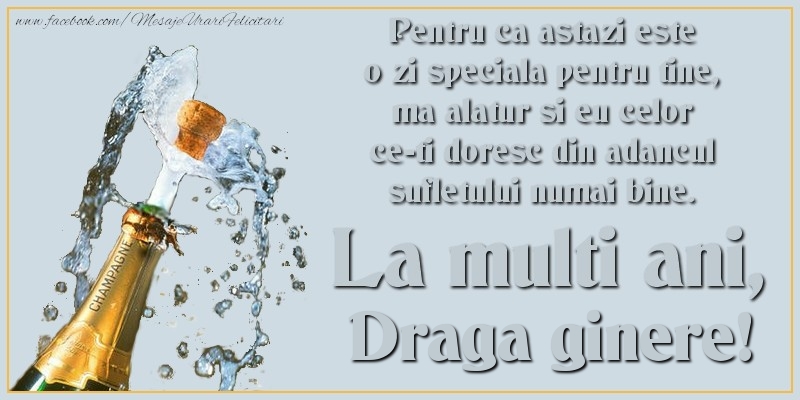 Felicitari de Ziua Numelui pentru Ginere - Pentru ca astazi este o zi speciala pentru tine, ma alatur si eu celor ce-ti doresc din adancul sufletului numai bine. La multi an, draga ginere