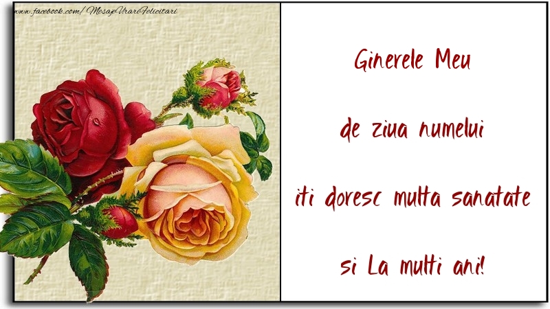 Felicitari de Ziua Numelui pentru Ginere - de ziua numelui iti doresc multa sanatate si La multi ani! ginerele meu